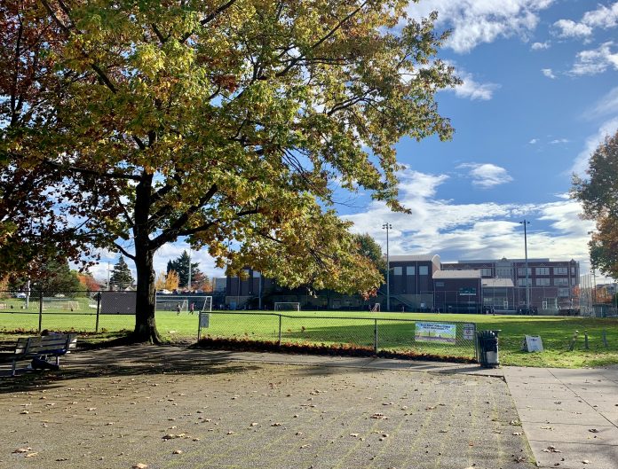 A photo of a tall tree and a paved area next to a large playfield.