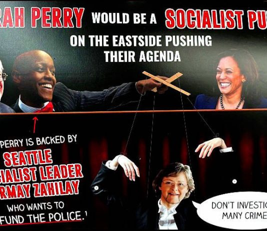 Seattle Times Rescinds Kathy Lambert Endorsement Over Racist Mailer