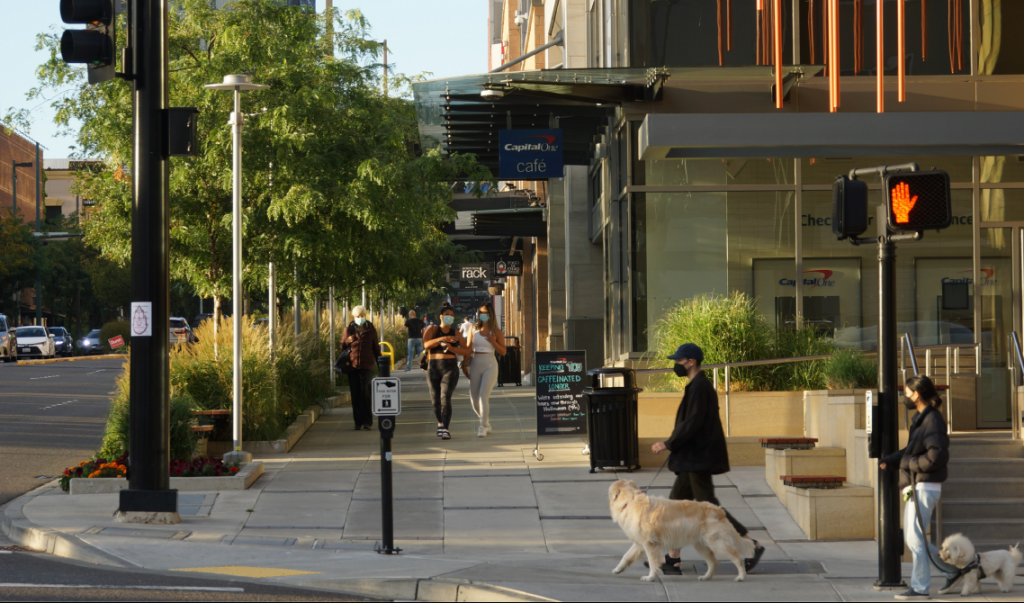 A photo of a sidewalk in front of commercial buildings with planters separating it from the street. 