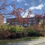 garfield-park-path-1