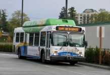 Pandemic Impacts Force Pierce Transit Service Reductions A white, blue, and green bus runs with a not in service sign.