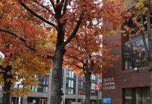 Seattle’s Free Community College Program Grows in Size and Impact A photo shows trees with orange leaves in front of a brick buildings.
