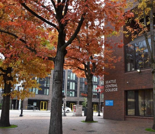Seattle’s Free Community College Program Grows in Size and Impact A photo shows trees with orange leaves in front of a brick buildings.