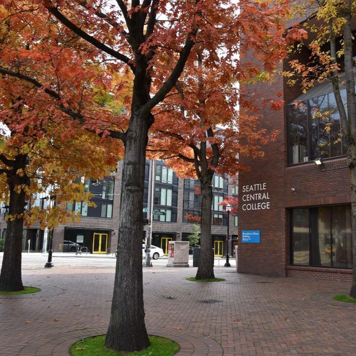 A photo shows trees with orange leaves in front of a brick buildings.