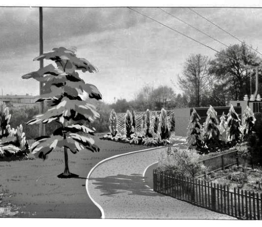 The Seattle Times Found Many Ways to Profit From Exclusion and Redlining A black and white photo with overlaid sketch of some trees and a walking path.