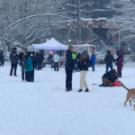 Cal Anderson park snow DJ
