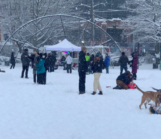 Stay Warm and Travel Safely in the Seattle Metro Area as Cold and Snow Arrive A photo of people and dogs in a park in the snow.