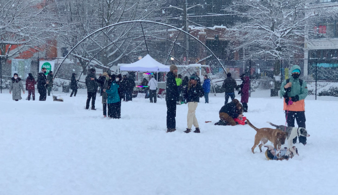 A photo of people and dogs in a park in the snow.