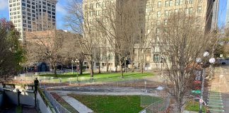 A photo of a green space surrounded by chain link fencing near tall historic buildings