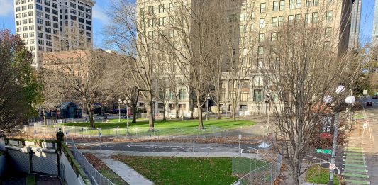A photo of a green space surrounded by chain link fencing near tall historic buildings