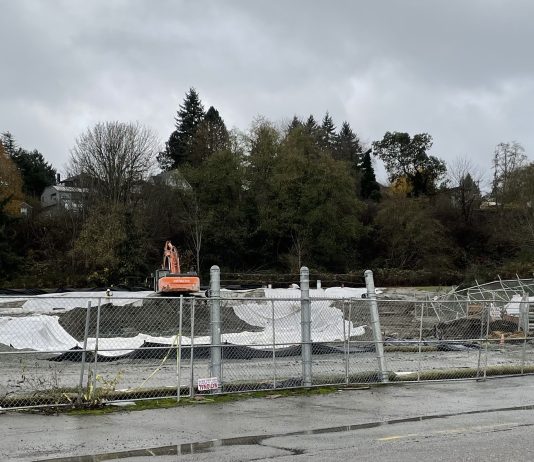 Interbay in Flux – Projects to Watch in 2022