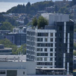 Intensive-green-roof