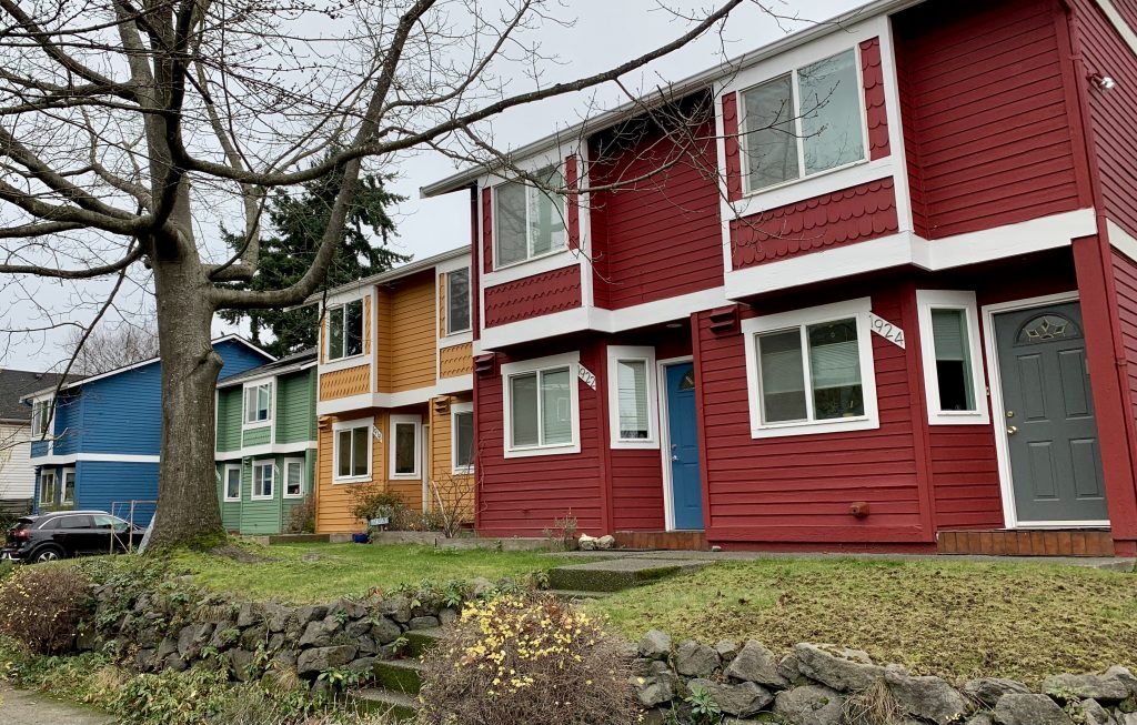 A photo of colorful townhouses with a tree in front.