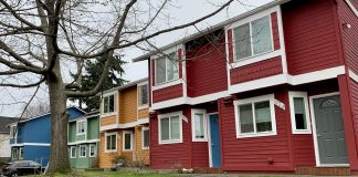 A photo of colorful townhouses with a tree in front.