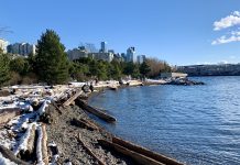 Light Rail Expansion, Affordable Housing, and E-Bikes: What We Were Grateful For in 2021 A photo of a beach with driftwood and snow.