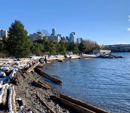Light Rail Expansion, Affordable Housing, and E-Bikes: What We Were Grateful For in 2021 A photo of a beach with driftwood and snow.