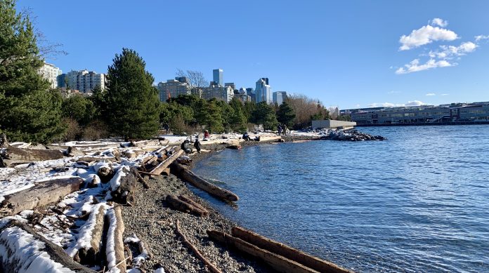 A photo of a beach with driftwood and snow.