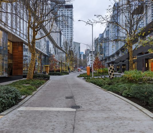 Exploring Seattle’s Festival Streets The 8th Ave N festival street surrounded by two newer office buildings, looking southward