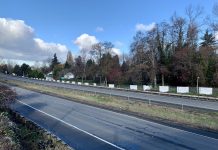 South Park Joins Growing Movement to Dismantle Freeways A photo of an empty freeway edged by trees