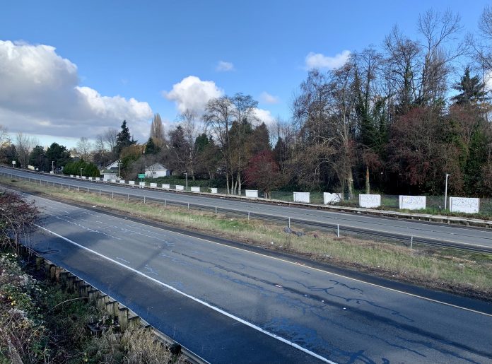 A photo of an empty freeway edged by trees