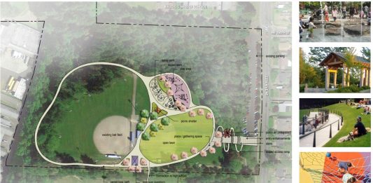 Proposed changes to Briarcrest/Hamlin Park include an open lawn and picnic area.