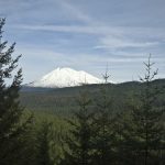 23932164365_1d30381de9_b