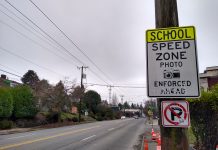 Transportation Chair Saka Questions School Zone Camera Expansion Plan