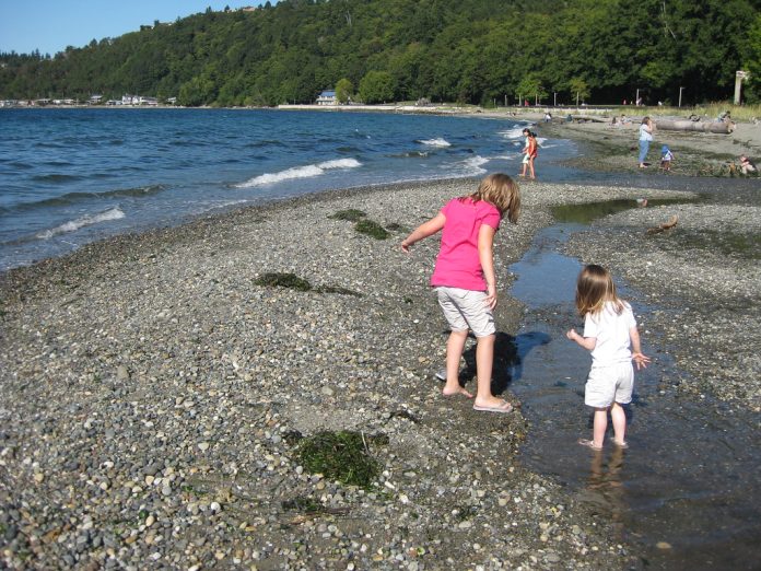 A photo of two young children on a beach with more children visible in the distance.