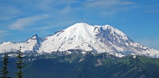 A view of a snow capped mountain behind evergreen trees