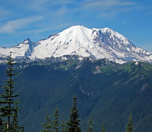 The Urbanist Podcast: A Rainier By Any Other Name A view of a snow capped mountain behind evergreen trees