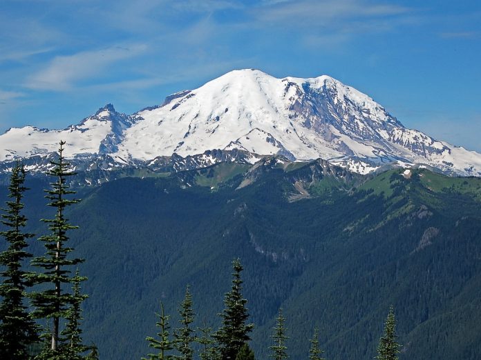 A view of a snow capped mountain behind evergreen trees