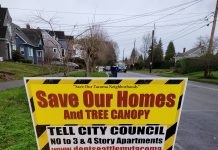 Tree Canopy Analysis Shows Tacoma Rezone Critics Exaggerate Concerns
