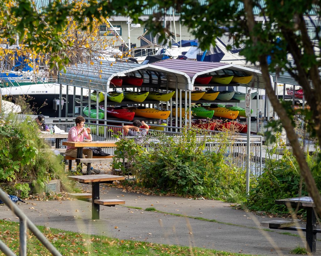 A photo of picnic tables near a boat marina with a people sitting and relaxing. 