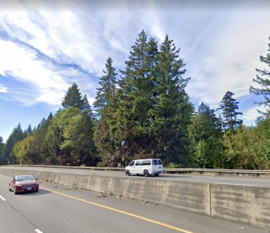 WSDOT Has No Good Reasons to Widen SR 18, Yet State Advances $640 Million Plan A view of a highway with two cars driving in opposite directions divided by a concrete barrier.