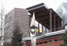 Bellevue Council Update: Some Lessons in Council Procedure