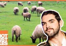 Sunday Video: Dutch Cities Are Better For The Climate