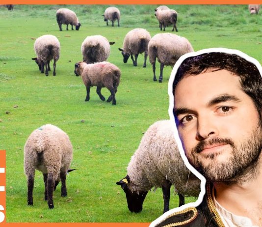 Sunday Video: Dutch Cities Are Better For The Climate