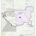 2022 WA 15th Legislative District