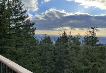 What We’re Reading: Quiet Zone, LVT, and Renter Protections