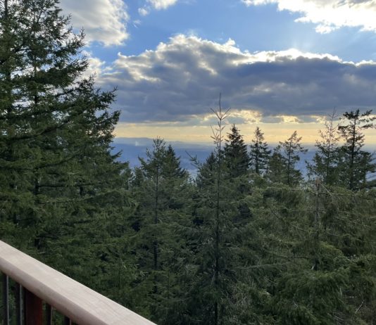 What We’re Reading: Quiet Zone, LVT, and Renter Protections