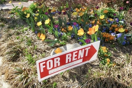 A for rent sign in front of flowers.