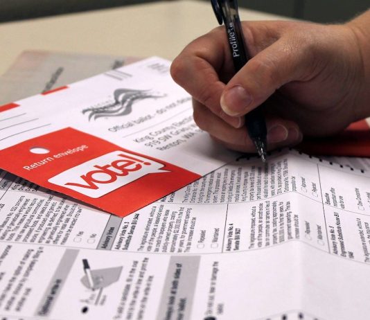 General Election 2022: Notes, Endorsements, and Get Voting!