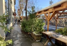 Land Use Smorgasbord at Final Seattle City Council Meeting of 2022 A photo of an outdoor dining area with plants.
