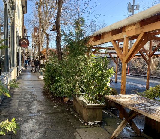 Transpo Notes: Café Streets Extended, Green Lake Outer Loop Advances, Metro Delays Service Improvements A photo of an outdoor dining area with plants.