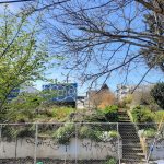 Lot-to-host-122-homes-next-to-Fremont-Brewing-20220329