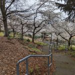 PXL_20220320_220910550