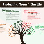 Protecting-Trees-in-Seattle-graphic