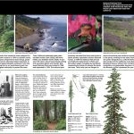 Redwood NP Narrative Map