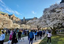 Last Day of Our Spring Subscriber Drive – Give Today! Dozens and dozens crowd the brick paths and grassy lawns of the Quad with the cherry blossoms peaking above them and brick dormitories and lecture halls in the background.