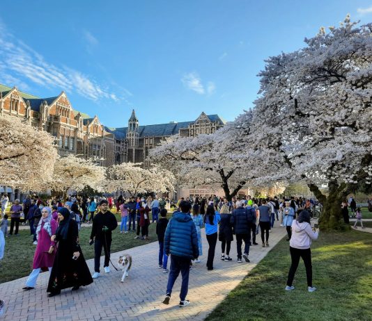 Kicking Off Our Spring 2023 Subscriber Drive Dozens and dozens crowd the brick paths and grassy lawns of the Quad with the cherry blossoms peaking above them and brick dormitories and lecture halls in the background.